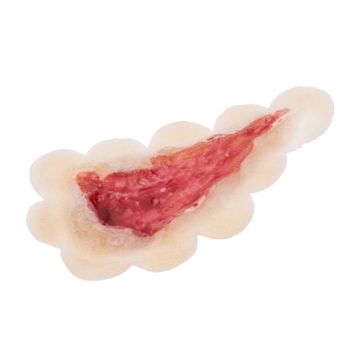 Grimas Latex Prosthetic Wounds - Open Wond 2 - Nepwond