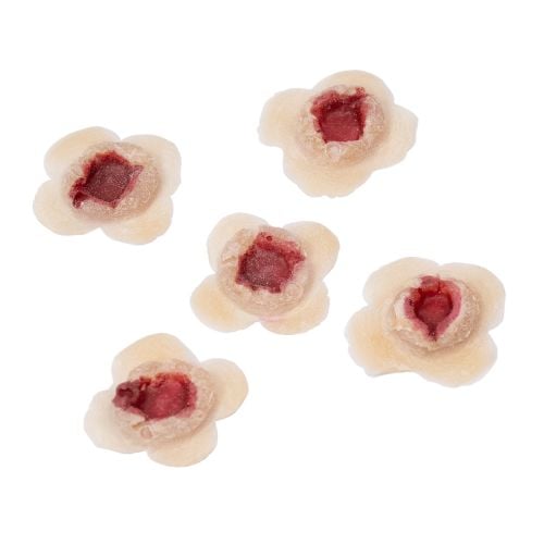 Grimas Latex Prosthetic Wounds - Kogelgaten (5 stuks) - Nepwonden