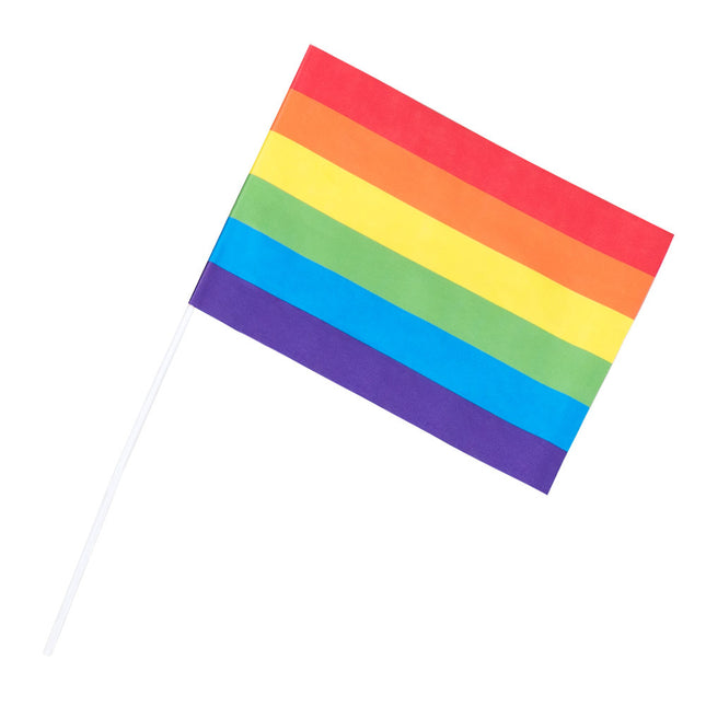 Zwaaivlag regenboog - 20 x 30 cm